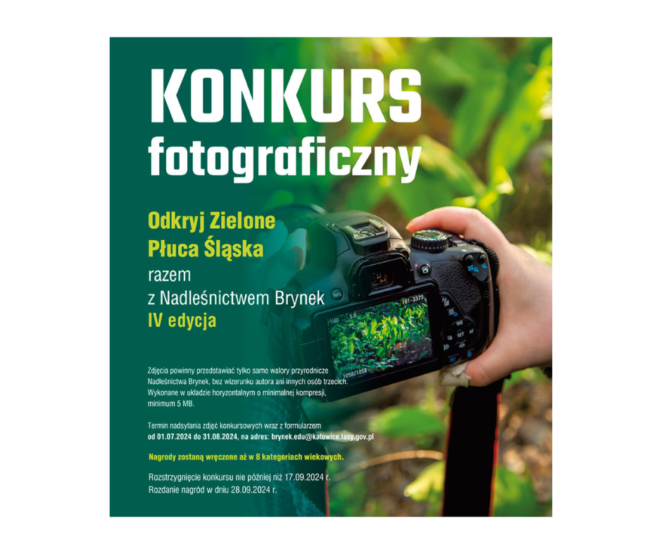 IV edycja konkursu fotograficznego