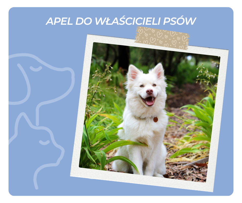 Bezpieczeństwo przede wszystkim - apel do właścicieli psów.