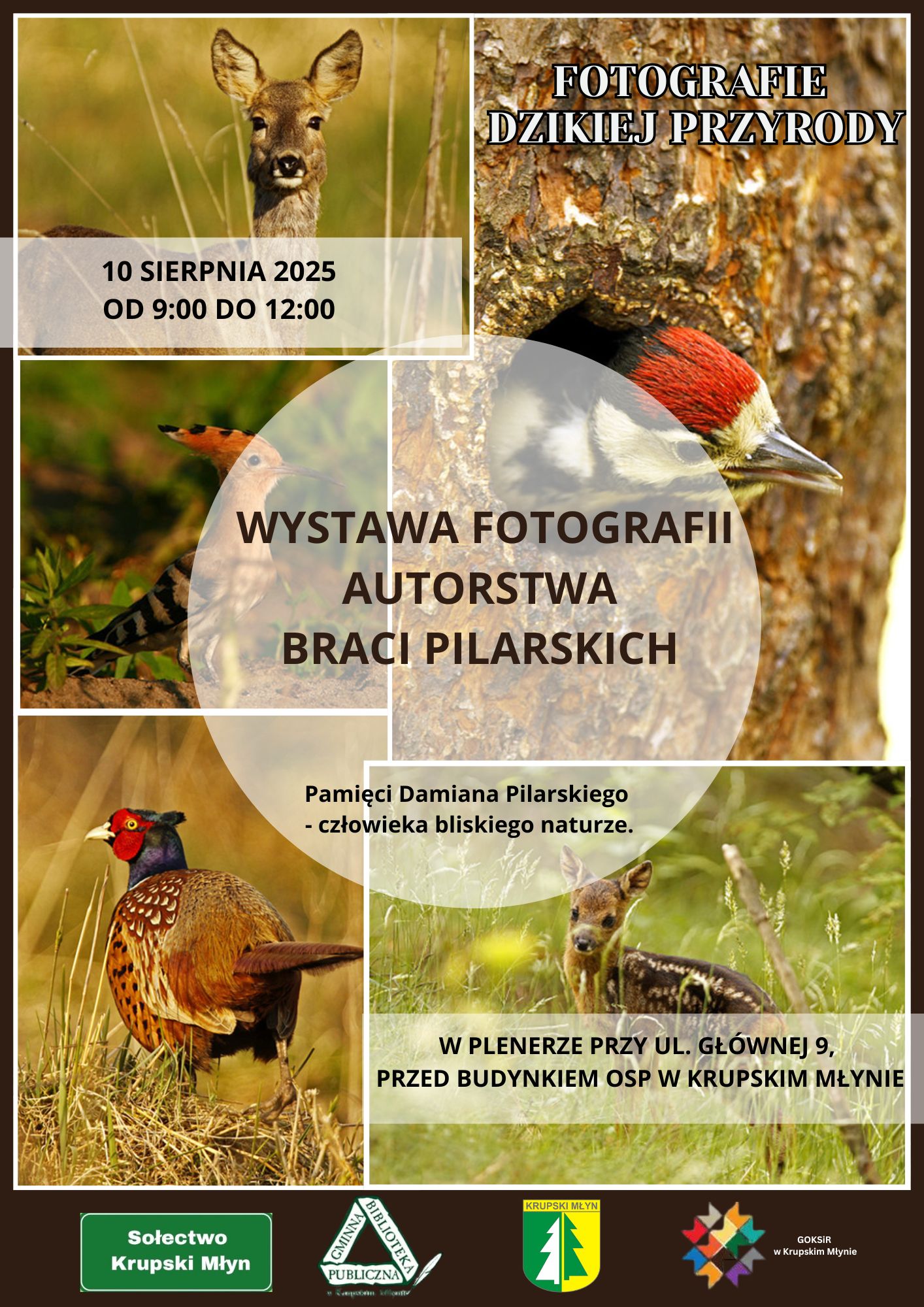 Wystawa fotografii autorstwa braci Pilarskich Wystawa fotografii autorstwa braci Pilarskich