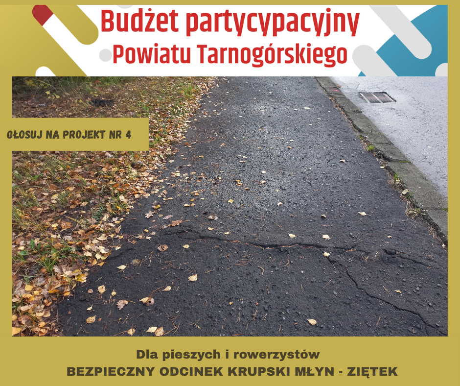ZOSTAŁY TYLKO 4 DNI! KAŻDY GŁOS MOŻE ZDECYDOWAĆ!
