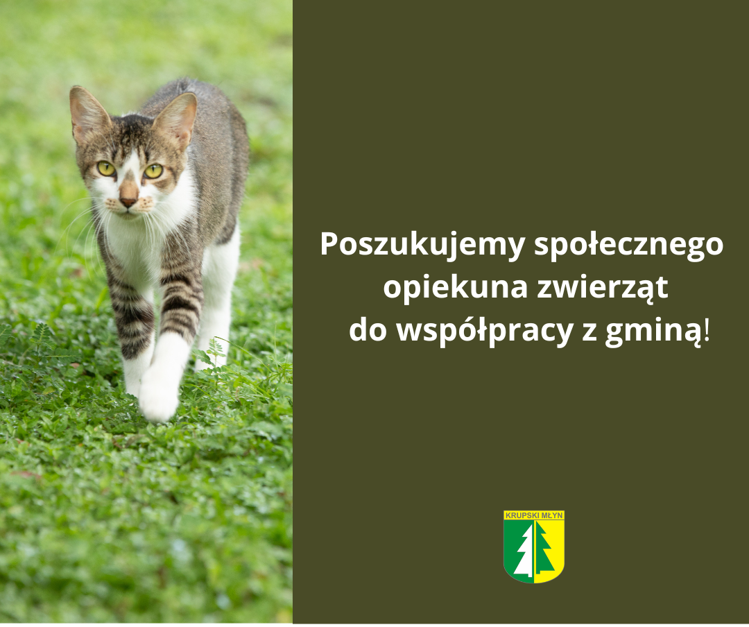 Poszukujemy społecznego opiekuna zwierząt do współpracy z gminą! 