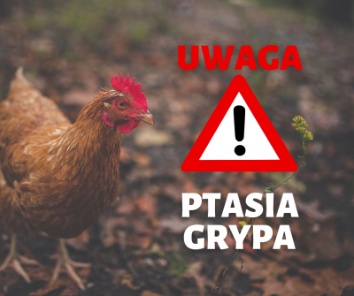 Rozporządzenie Wojewody Śląskiego w sprawie zwalczania wysoce zjadliwej grypy ptaków