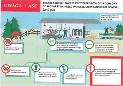 ASF - ważne informacje