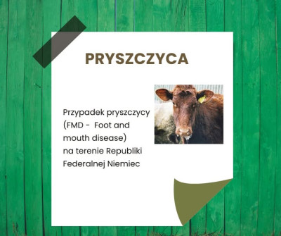 INFORMACJA GŁÓWNEGO LEKARZA WETERYNARII INFORMACJA GŁÓWNEGO LEKARZA WETERYNARII