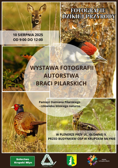 Wystawa fotografii autorstwa braci Pilarskich Wystawa fotografii autorstwa braci Pilarskich