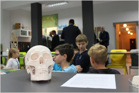 Na pierwszym planie model ludzkiej czaszki na stole, obok kartka papieru, na drugim planie dzieci, w tle dorośli i dzieci stojące w klasie, ławki szkolne, krzesła i wyjście na korytarz.