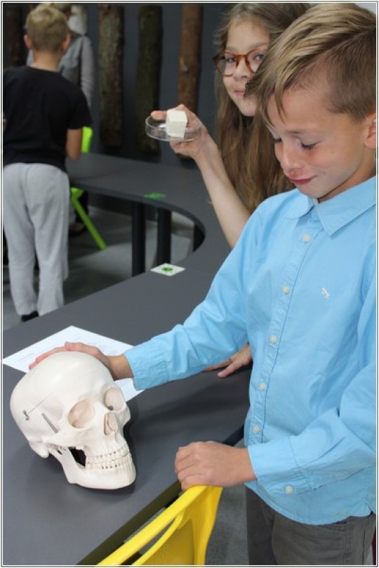 Na pierwszym planie chłopiec oglądający model ludzkiej czaszki, czarny stół. Na drugim planie dziewczynka trzymająca  szalkę Petriego z białą kostką w środku. W głębi kolejny chłopiec.