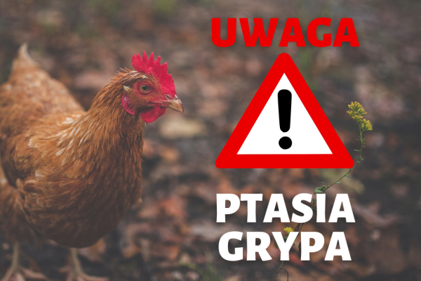 Rozporządzenie Wojewody Śląskiego w sprawie zwalczania wysoce zjadliwej grypy ptaków