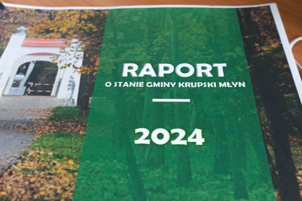 Raport o stanie gminy - Informacja