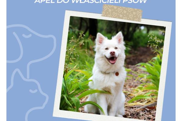 Bezpieczeństwo przede wszystkim - apel do właścicieli psów.