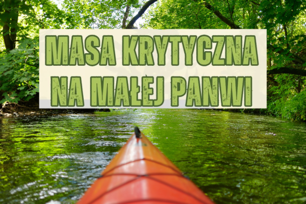 Masa Krytyczna na Małej Panwi