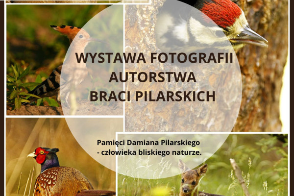  Wystawa fotografii autorstwa braci Pilarskich