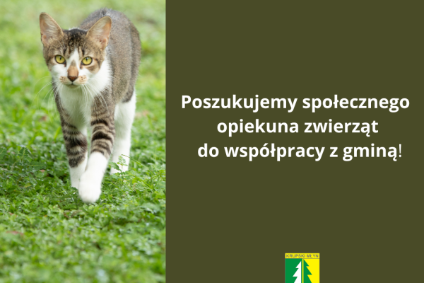 Poszukujemy społecznego opiekuna zwierząt do współpracy z gminą! 